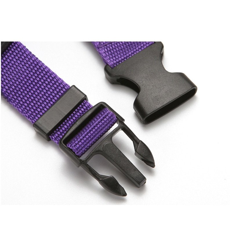 Pet Seat Belt Leash Pet Seat Belt Leash