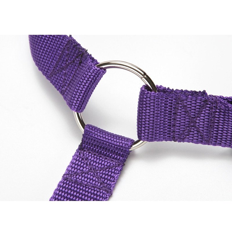 Pet Seat Belt Leash Pet Seat Belt Leash