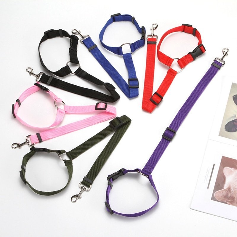 Pet Seat Belt Leash Pet Seat Belt Leash
