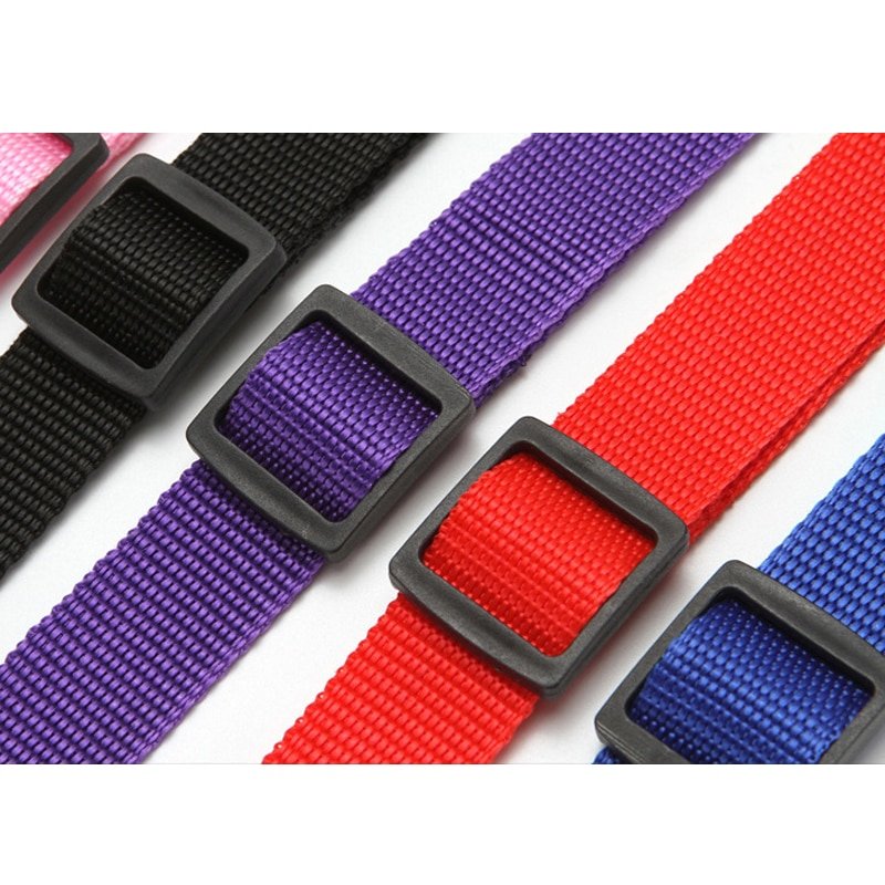 Pet Seat Belt Leash Pet Seat Belt Leash
