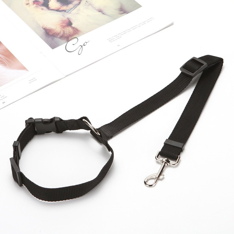 Pet Seat Belt Leash Pet Seat Belt Leash