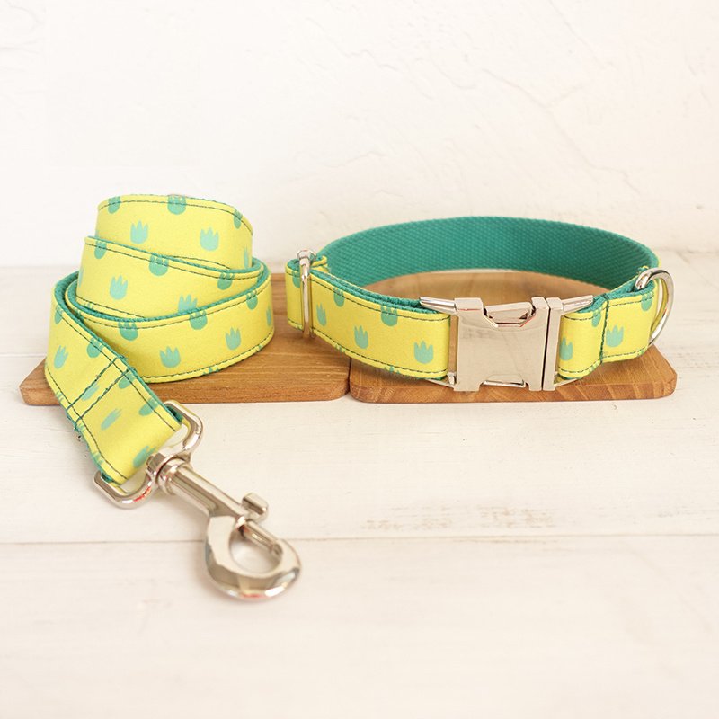 Yellow Dog Collar and Leash Set