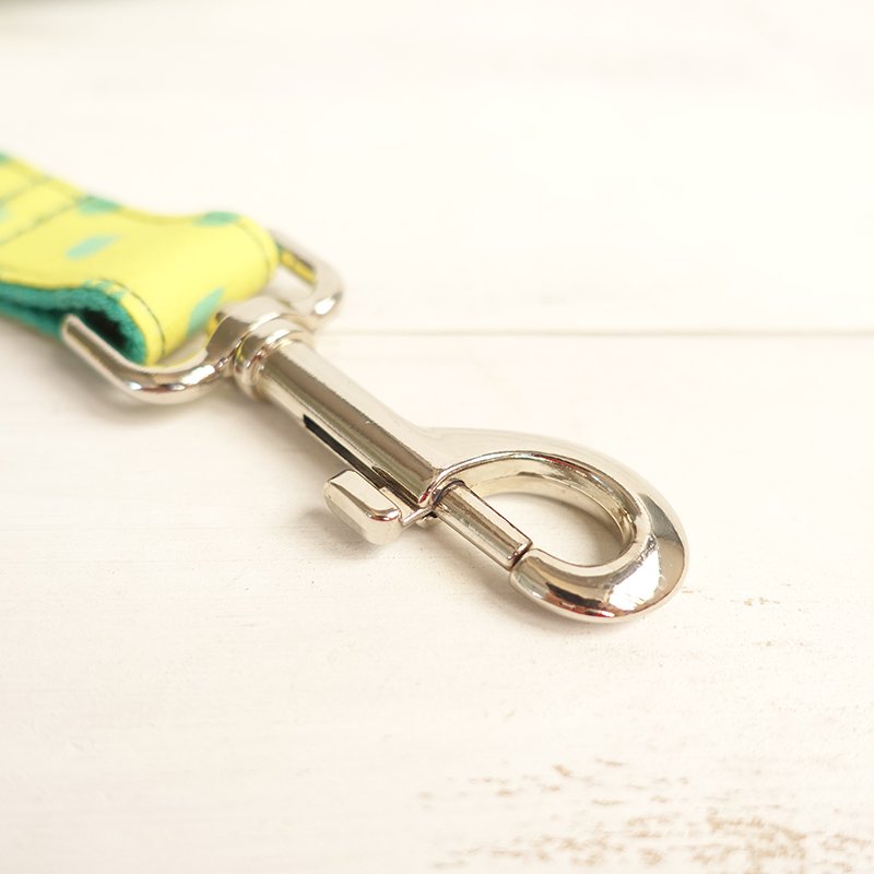Yellow Dog Collar and Leash Set