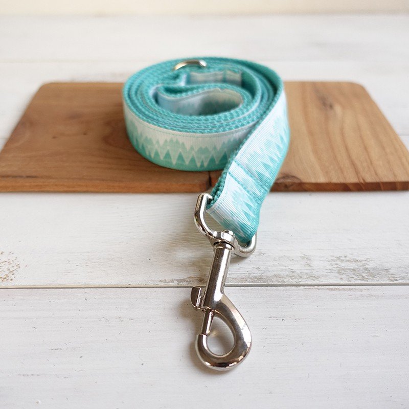 Turquois Dog Collar and Leash Set
