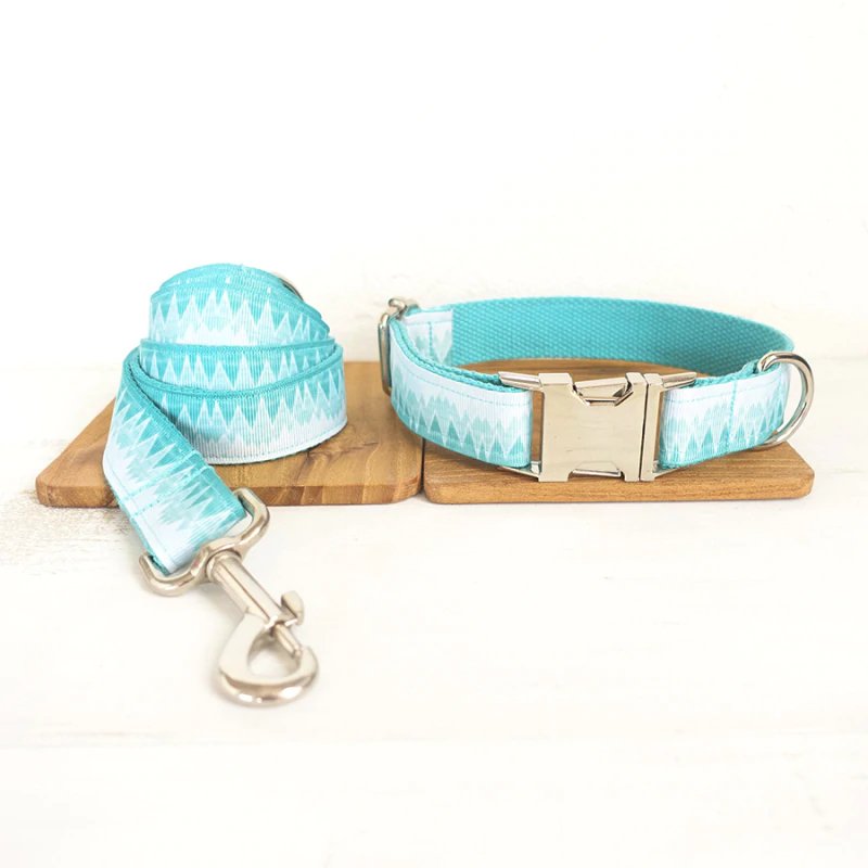Turquois Dog Collar and Leash Set