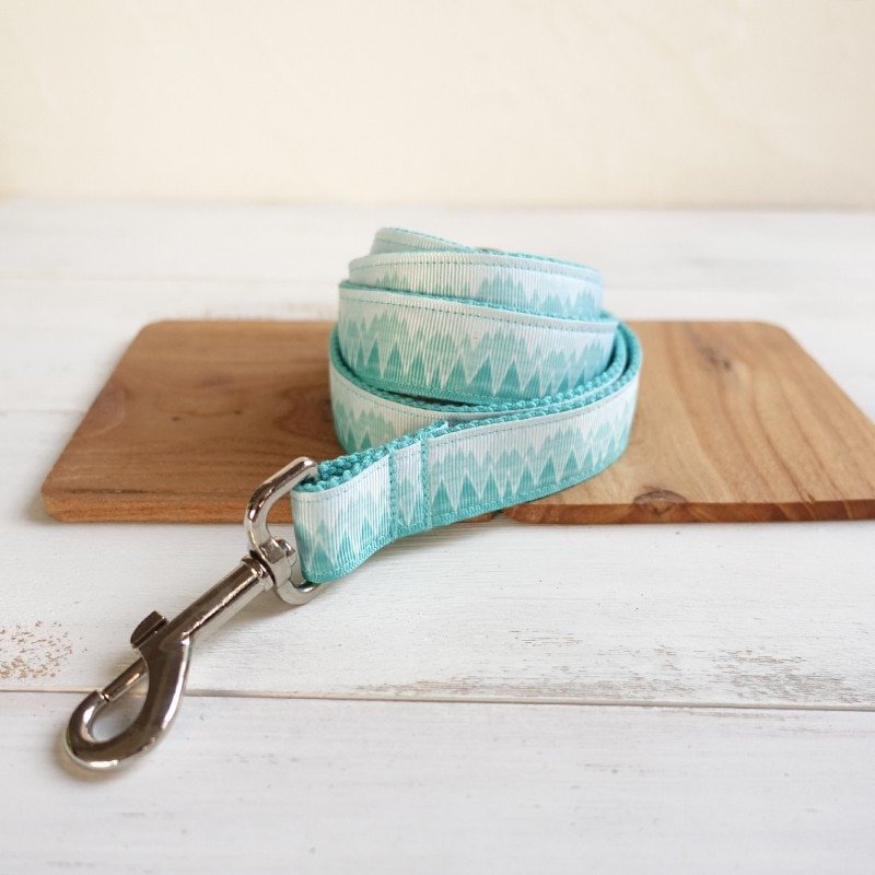 Turquois Dog Collar and Leash Set
