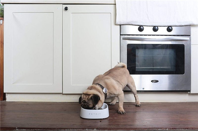 Smart Feeding Bowl for Dogs Smart Feeding Bowl for Dogs