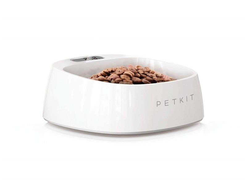 Smart Feeding Bowl for Dogs Smart Feeding Bowl for Dogs