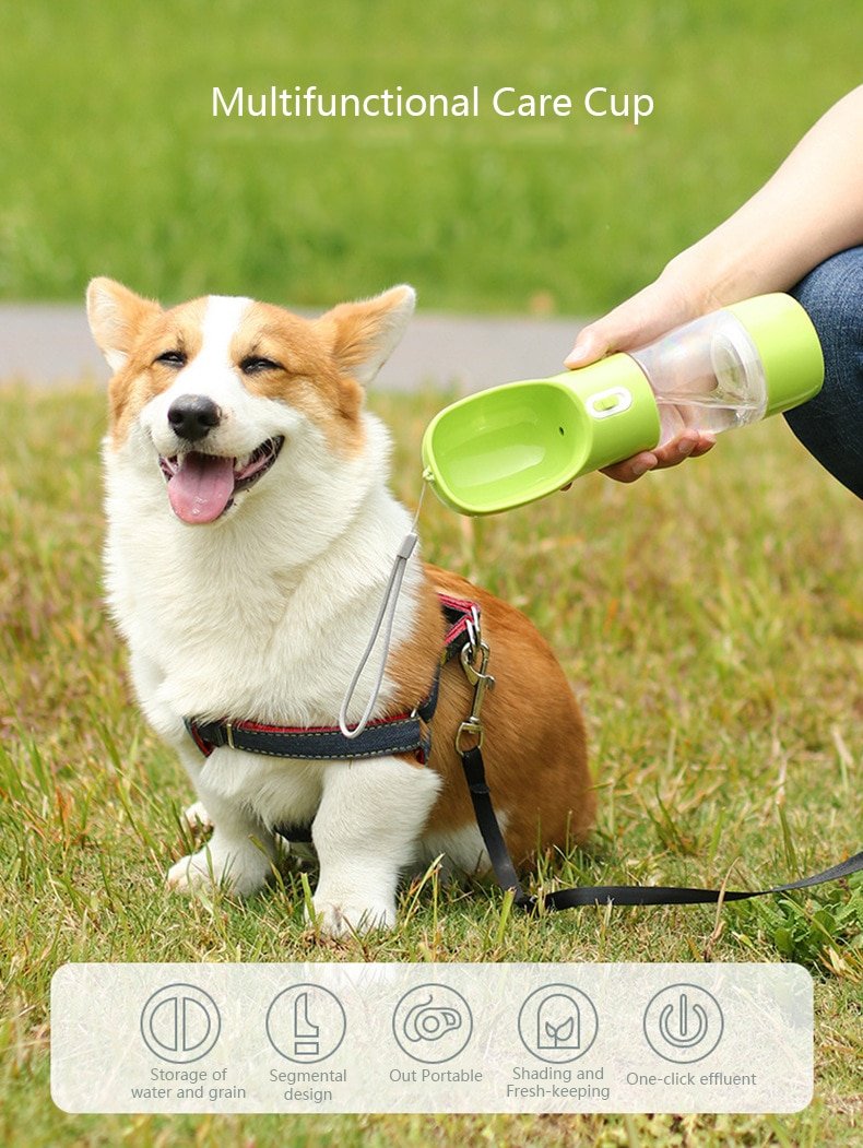 Dog's Travel Water Bottle with Spoon Dog's Travel Water Bottle with Spoon